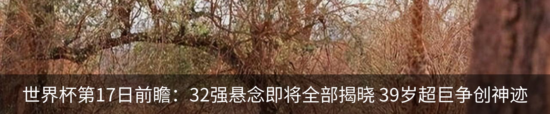 热点资讯